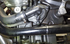 HONDA JADE 2024 MC23