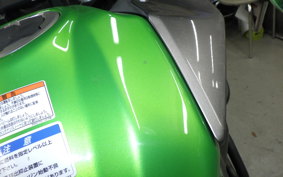 KAWASAKI VERSYS-X 250 A 2008 LE250D