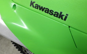 KAWASAKI KX250 2002 KX252E