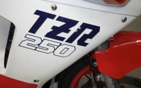 YAMAHA TZR250 2008 1KT