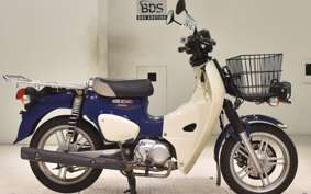 HONDA C110 SUPER CUB JA61