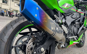 KAWASAKI Ninja ZX-4RR KRT 2024 ZX400P