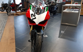 DUCATI  DUCATI PANIGA-REV2 BAYLISS  2022 1H00