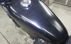 HARLEY XL883N 2015