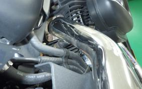 HARLEY XL883N 2009