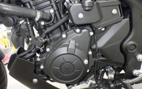 YAMAHA MT-25 A RG74J