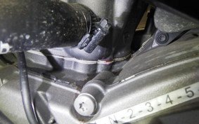 DUCATI DESSERT X 2022