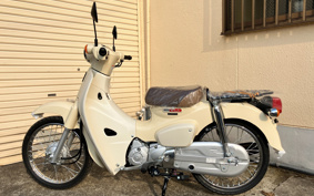 HONDA SUPER CUB50