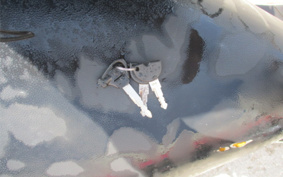 YAMAHA CYGNUS 125 X SE46