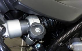 HARLEY X500 2024