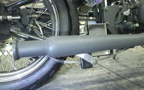 OTHER +UNREGISTERED MODEL by BDS250