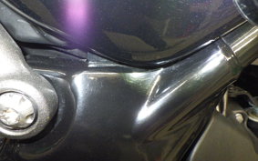 TRIUMPH SPEED 400 2024