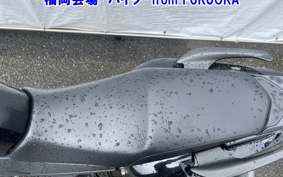 OTHER YS125 FEATHER 