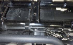 HARLEY XL1200NS 2019