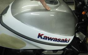 KAWASAKI ZRX1200 D 2009 ZRT20D