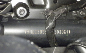 HARLEY PAN AMERICA 1250 2021