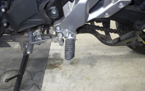 SUZUKI Vｽﾄﾛｰﾑ250A 2009