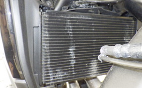 HONDA NX400 2024 NC65