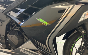 KAWASAKI NINJA 250 ABS SE EX250L