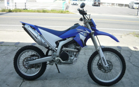 YAMAHA WR250X DG15J