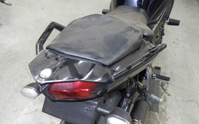 YAMAHA FZ1 FAZER 2010 RN21J