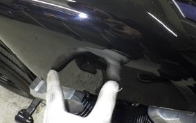 OTHER +UNREGISTERED MODEL by BDS250