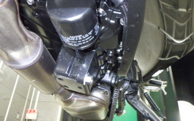 KAWASAKI NINJA 1100SX 2025 ZXT10H