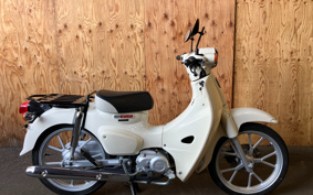 HONDA SUPER CUB110 JA59