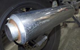 KAWASAKI ZZ-R250 EX250H