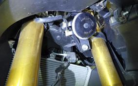 YAMAHA YZF-R3 2019 RH13J