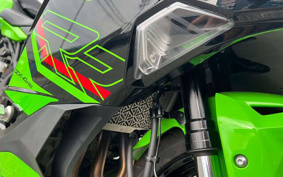 KAWASAKI Ninja ZX-4RR KRT 2024 ZX400P