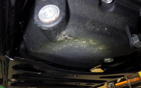 HARLEY FLTRX1920 2024