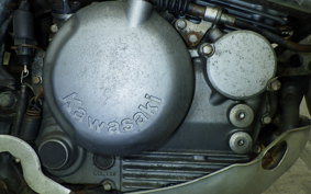 KAWASAKI SUPER SHERPA 2010 KL250G