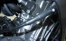 HONDA CBR250RR 2010 MC51