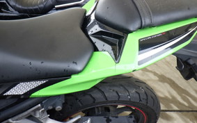 KAWASAKI NINJA 250 ABS EX250L