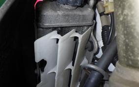 HONDA CRM250AR 2007 MD32