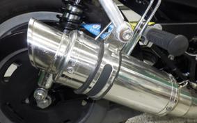 HARLEY XL883R 2006
