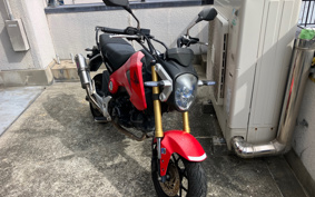 HONDA GROM JC61