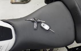TRIUMPH TIGER 1200 XRT 2019