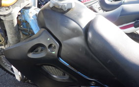 KAWASAKI KDX250SR 2019 DX250F