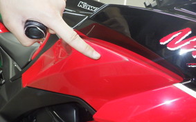 KAWASAKI NINJA 1000SX 2024 ZXT02K