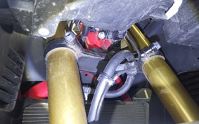 HONDA CBR250RR A MC51