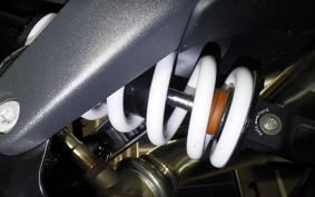 HUSQVARNA スバルトピレン801 2025