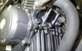 HONDA HORNET 250 2024 MC31