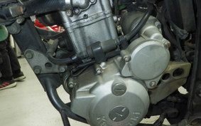 KAWASAKI KLX250 2021 LX250E