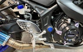 YAMAHA YZF-R25 RG10J