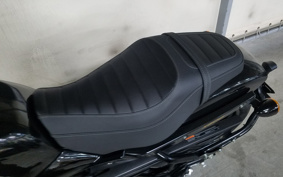 HARLEY X500 2024 W5B