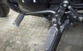 HARLEY XG750 STREET ROD 2019