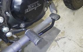 OTHER +UNREGISTERED MODEL by BDS250 2015