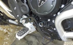 TRIUMPH TIGER 900 GT PRO 2025